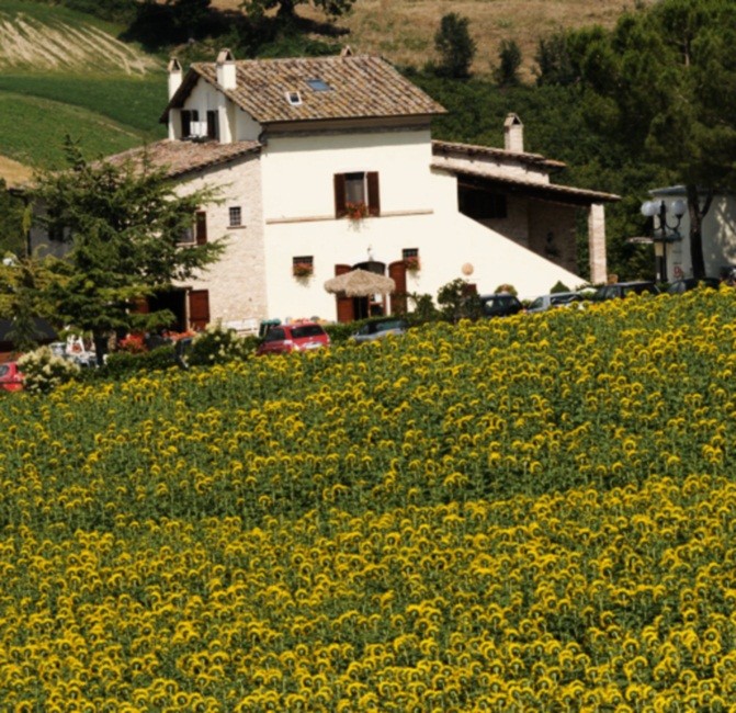hotels / agriturismo