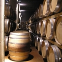 Een van de wijnkelders van Fonterutoli
