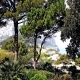 Italy Villas 