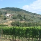 Agriturismo La Fenice