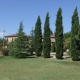 Agriturismo La Ripolina