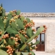 Agriturismo Gaia