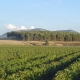 Agriturismo Valle Benuara