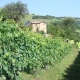 Agriturismo Ramus&egrave;