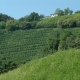 Veneto