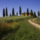 Toscane