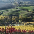 wijnlandschap Toscane