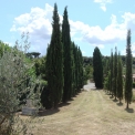 Villa Marmini