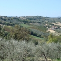 het heuvelachtige landschap van Umbrië