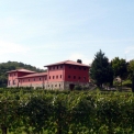 Azienda Agricola Il Roncal