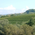 Monferrato wijnstreek
