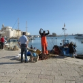 Trani - vissers in de haven